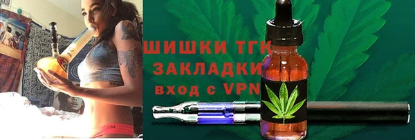 спиды Богданович